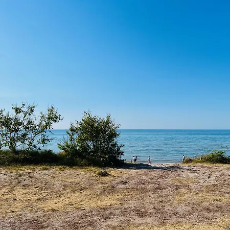 Uno Z Balia Kopalino