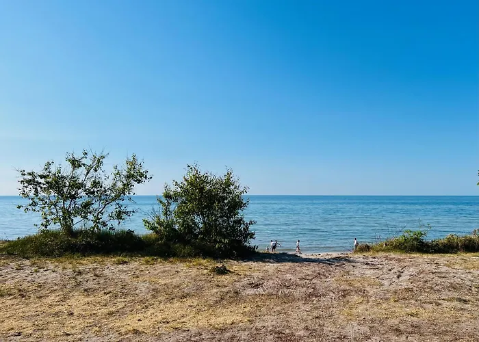 Uno Z Balia 科帕利诺